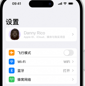 葫芦岛appleID维修服务iPhone设置中Apple ID显示为灰色无法使用 