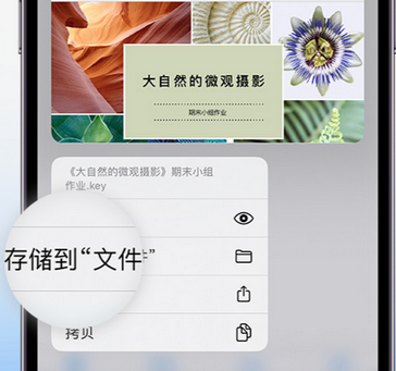 葫芦岛apple维修中心分享iPhone文件应用中存储和找到下载文件
