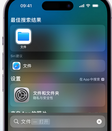 葫芦岛apple维修中心分享iPhone文件应用中存储和找到下载文件 