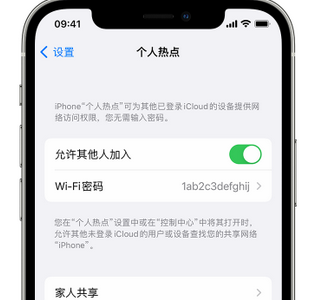 葫芦岛apple服务站点分享iPhone上个人热点丢失了怎么办 