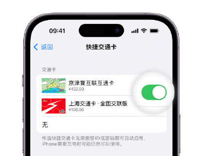 葫芦岛apple维修点分享iPhone上更换Apple Pay快捷交通卡手绘卡面 