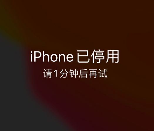 葫芦岛苹果手机维修分享:iPhone 显示“不可用”或“已停用”怎么办？还能保留数据吗？ 