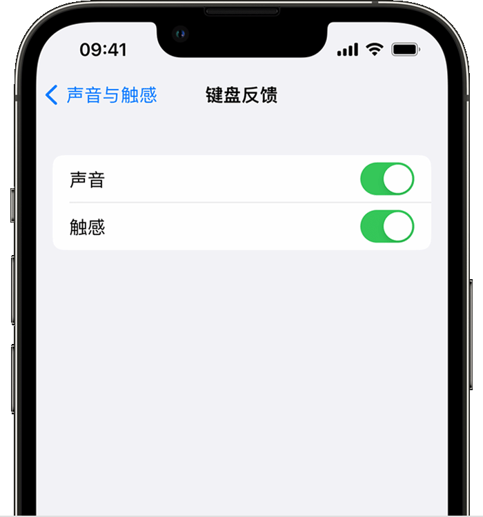 葫芦岛苹果14维修店分享如何在 iPhone 14 机型中使用触感键盘 