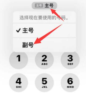 葫芦岛苹果14维修店分享iPhone 14 Pro Max使用副卡打电话的方法 