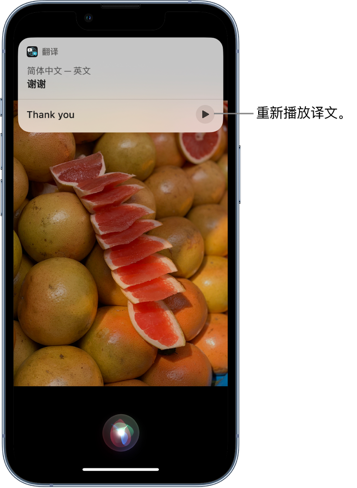 葫芦岛苹果14维修分享 iPhone 14 机型中使用 Siri：了解 Siri 能帮你做什么 