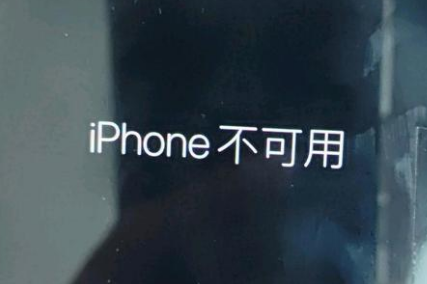 葫芦岛苹果服务网点分享锁屏界面显示“iPhone 不可用”如何解决 