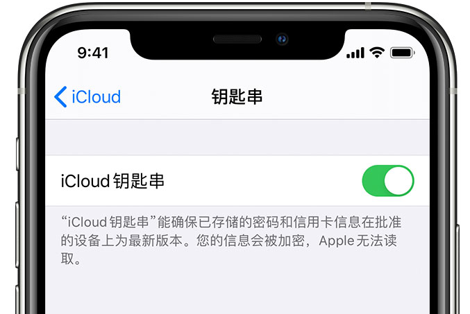 葫芦岛苹果手机维修分享在 iPhone 上开启 iCloud 钥匙串之后会储存哪些信息 