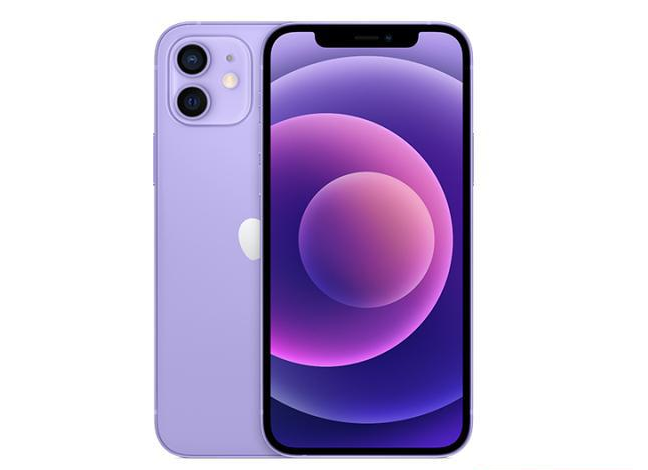 葫芦岛苹果手机维修分享现阶段要不要入手紫色版iPhone12 