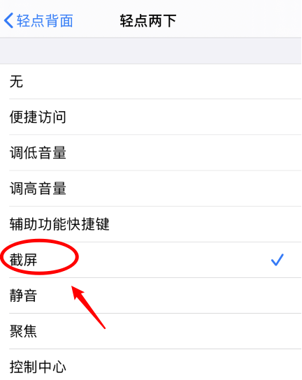 葫芦岛苹果手机维修分享iPhone12如何启用双击截屏 