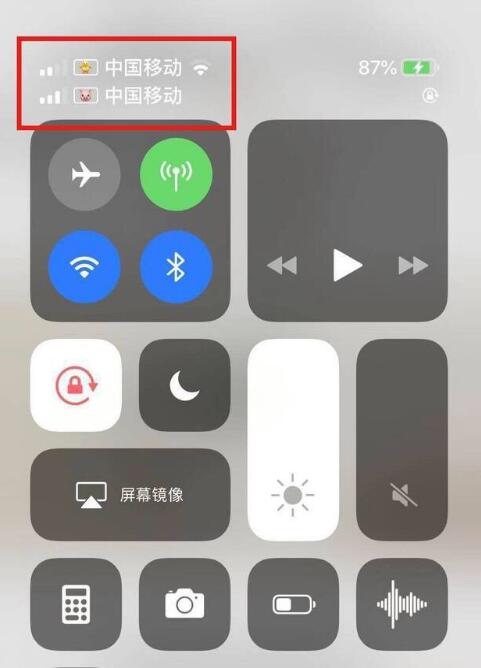 葫芦岛苹果手机维修分享为 iPhone 12 双卡设置标签 