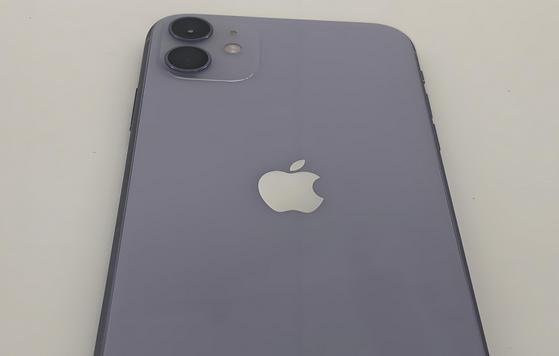 葫芦岛苹果11系统维修分享iPhone11手机系统崩溃无法开机如何解决