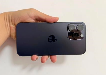葫芦岛苹果维修点分享iPhone 14 Pro Max黑屏少见故障盘点 