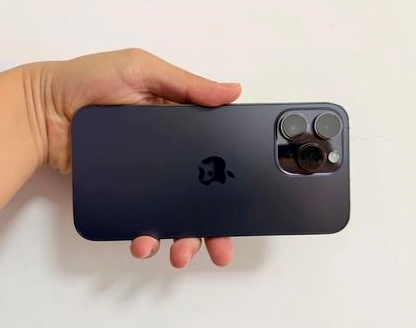 葫芦岛苹果维修点分享iPhone 14 Pro Max发烫多重诱因剖析 